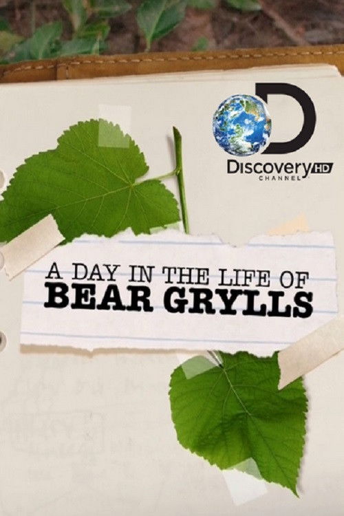 A Day in the Life of Bear Grylls (2012) poster