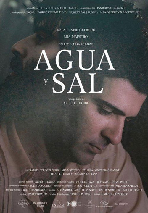 Agua y sal (2012) poster