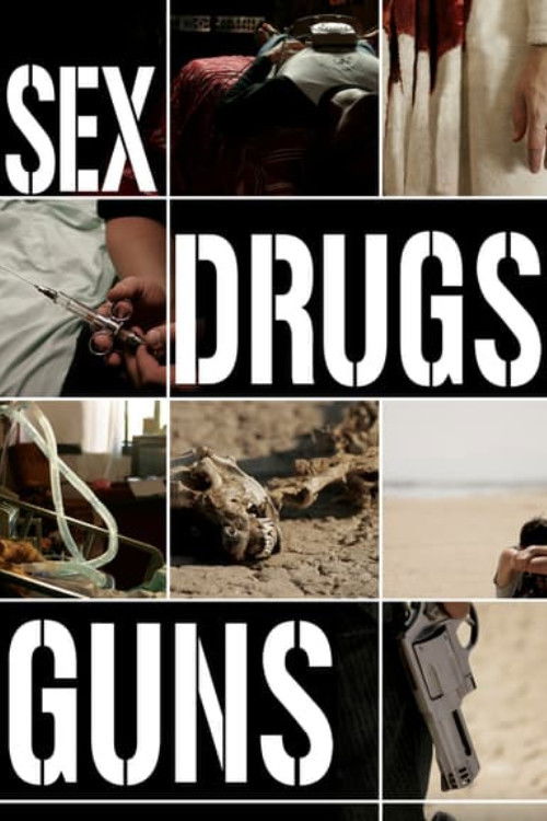 Sex Drugs Guns (2009) poster