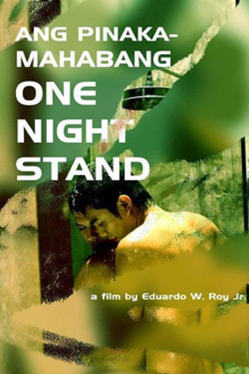 Ang Mga Pinakamahabang One Night Stand (2006) poster