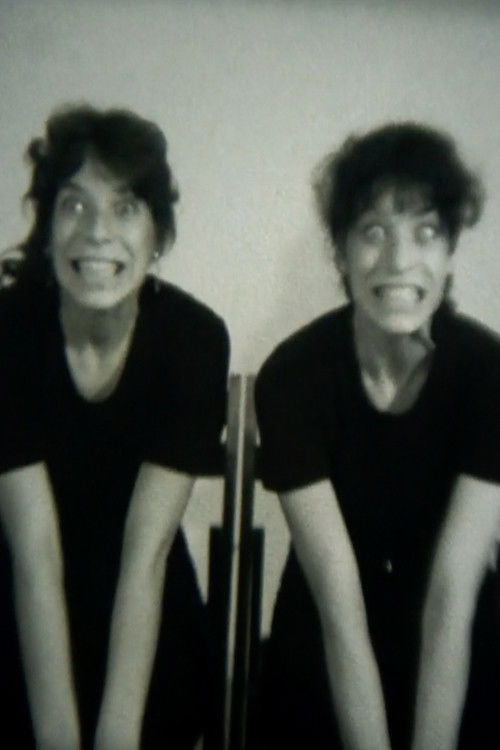 Relative Similarities (1979) poster