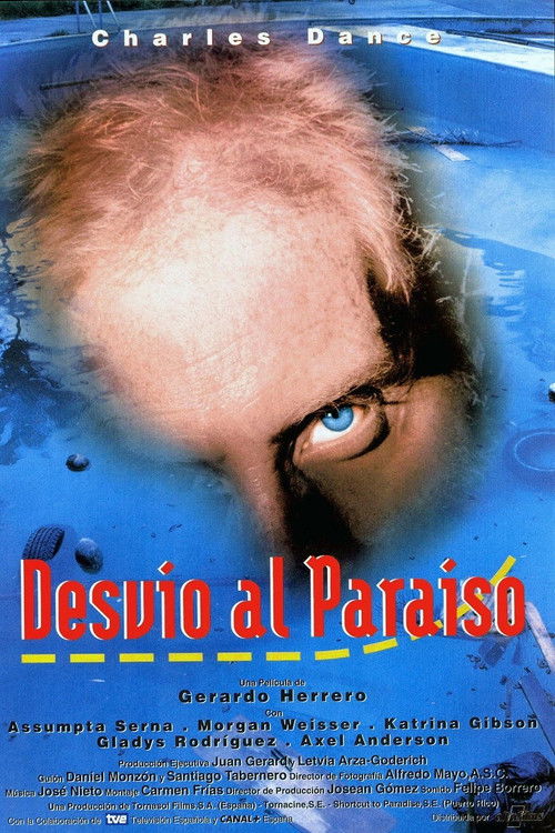Desvío al paraíso (1994) poster