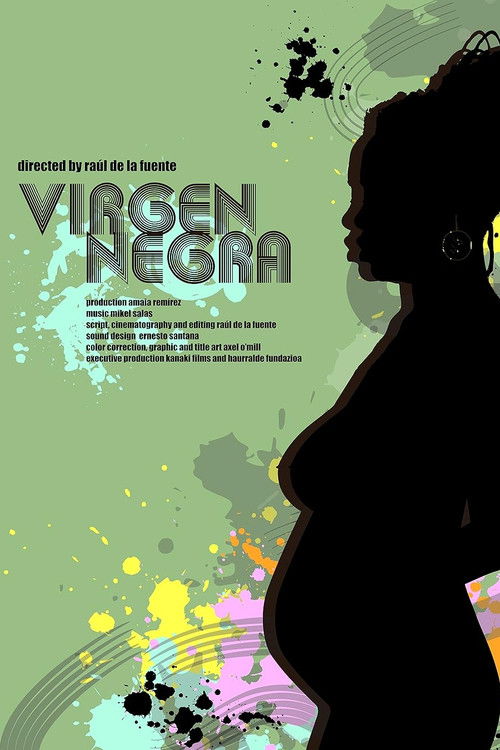 Virgen negra (2011) poster