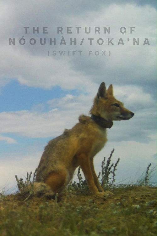 The Return of Nóouhàh-Toka’na (2024) poster