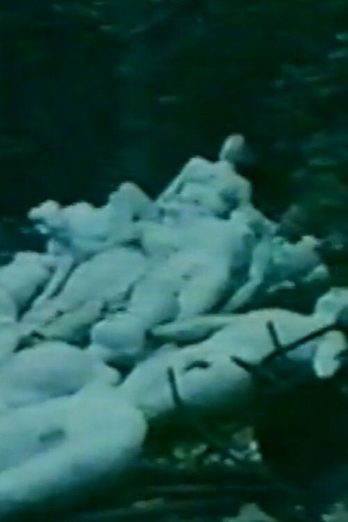 Heavenly Bodies (1982) poster