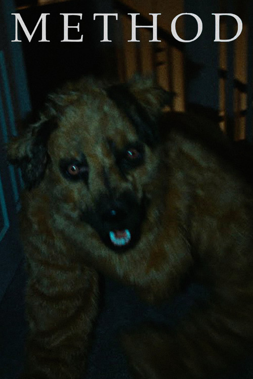 METHOD (2025) poster