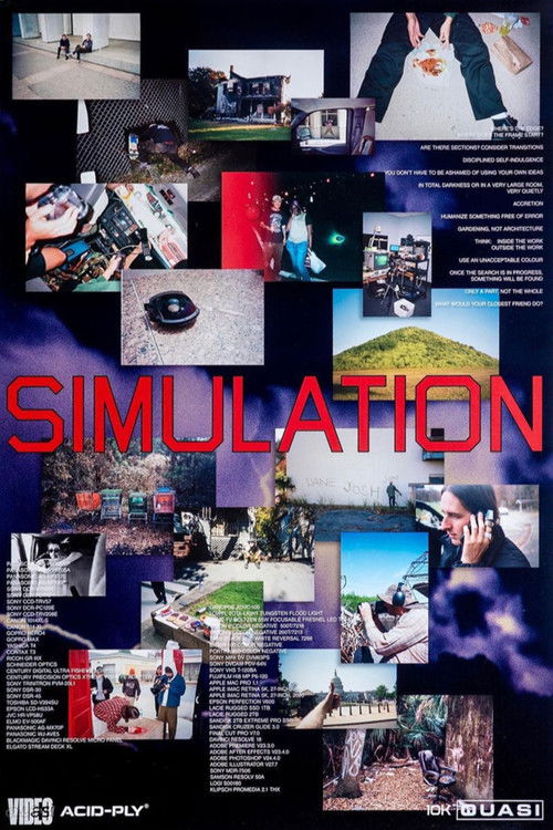 Simulation (2023) poster