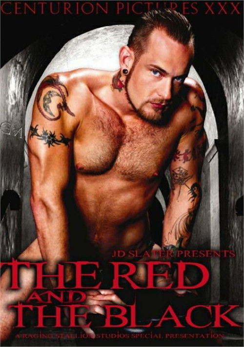 The Red and the Black (2005) poster