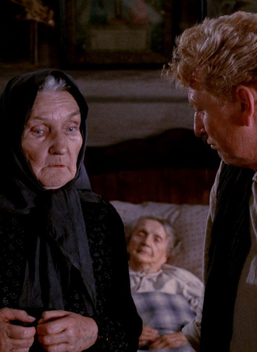 Diabeł (1988) poster