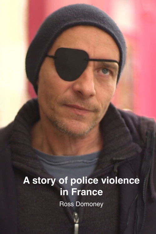 A story of police violence in France (2019) poster