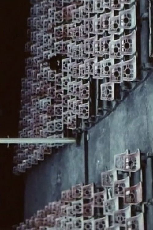 Birthday Celebration, or a Silent Balkan Story (1995) poster