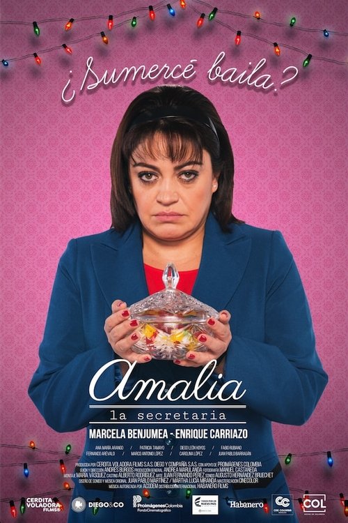 Amalia, la secretaria (2017) poster