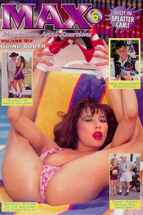 Max 6: Going South (1995) poster