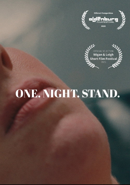 One Night Stand poster