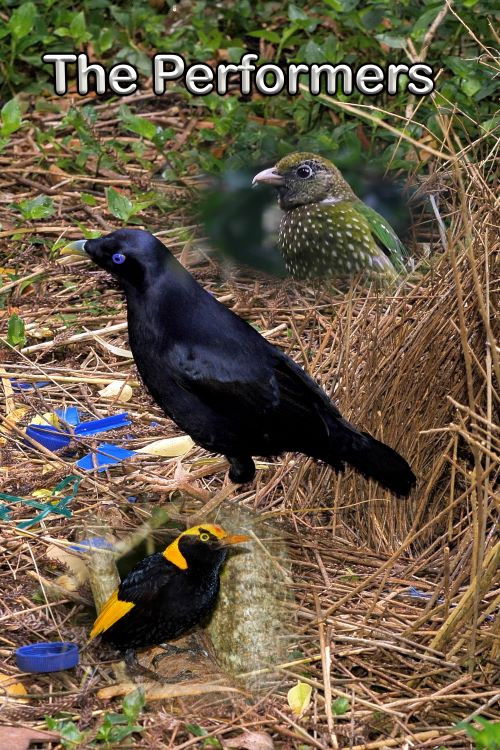 The Performers (2022) poster