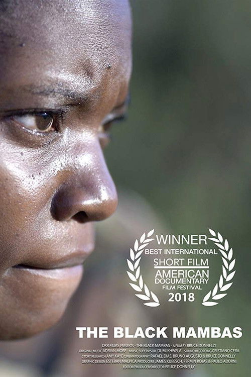 The Black Mambas (2018) poster