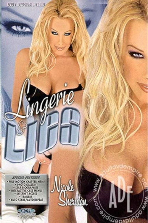 Lingerie & Lies (2001) poster