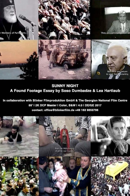 Sunny Night (2017) poster