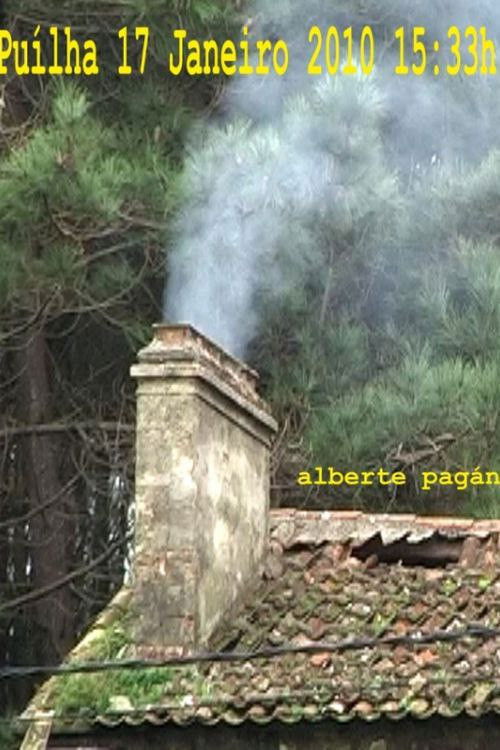 Puilha 17 Janeiro 2010 15:33h (2010) poster