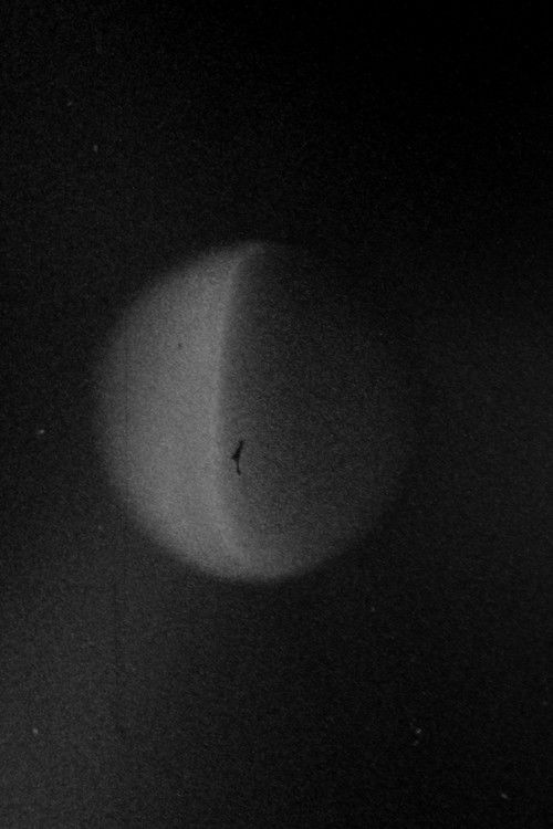 Lunario (2023) poster