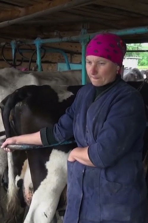 After the Deluge (2021) poster