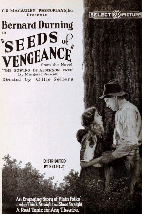 Seeds of Vengeance (1920) poster