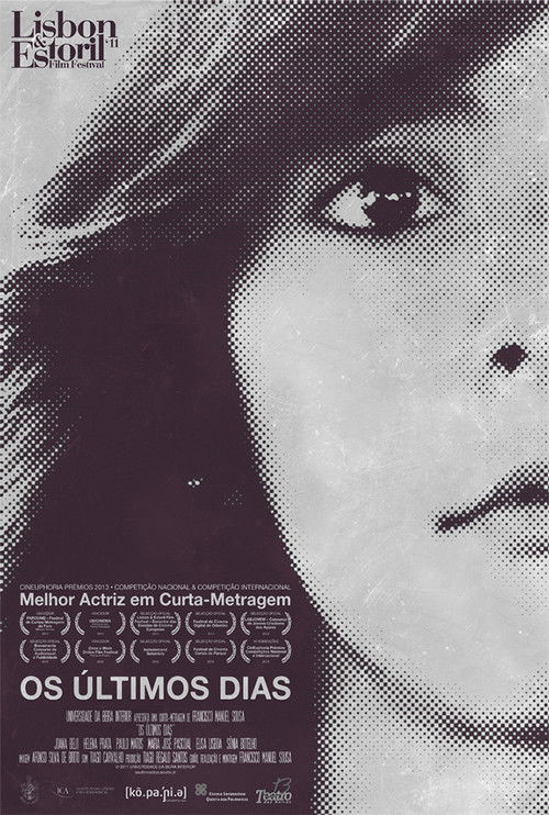 Os Últimos Dias (2011) poster