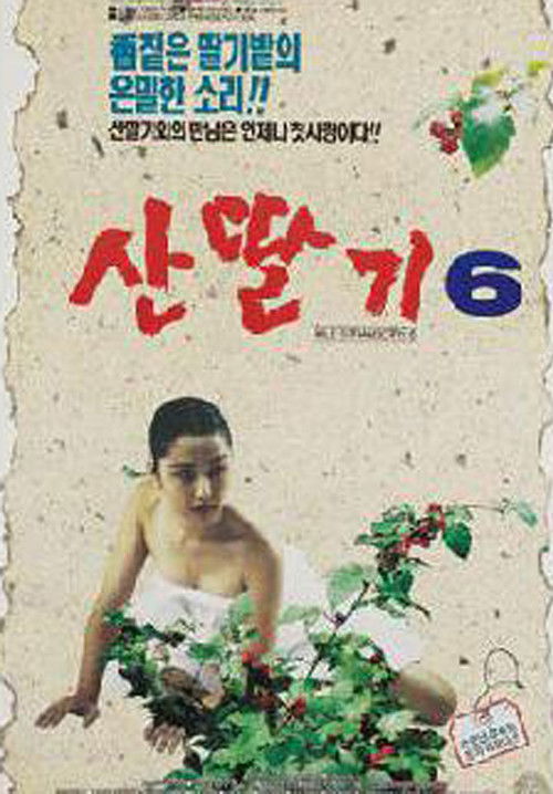 산딸기 6 (1994) poster