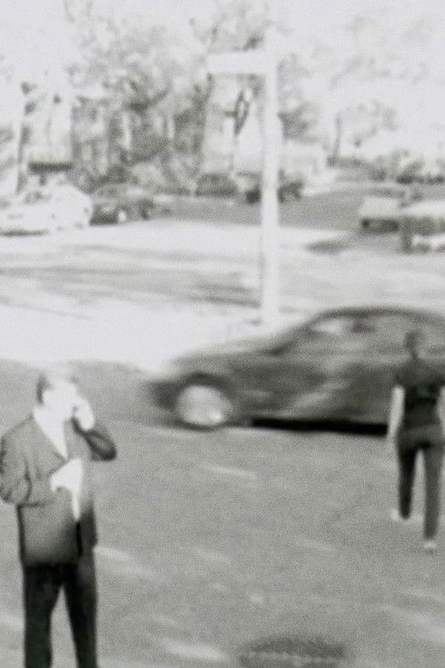 Tout à fait gris (2008) poster