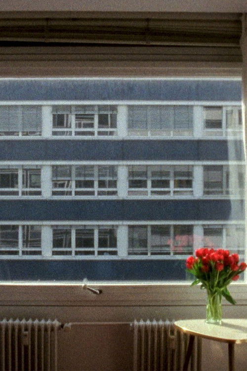 21,3 °C (2014) poster