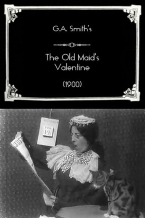 The Old Maid's Valentine (1900) poster