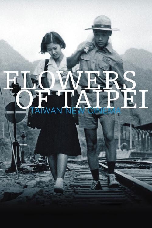 Flowers of Taipei: Taiwan New Cinema (2014) poster