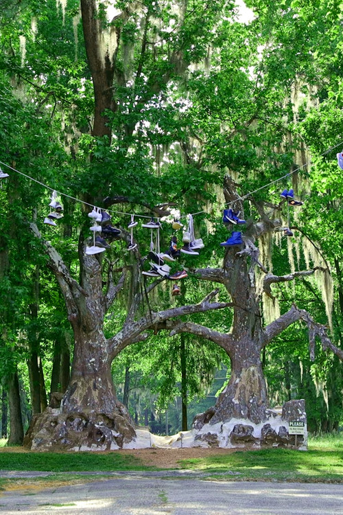 Spectre (2024) poster