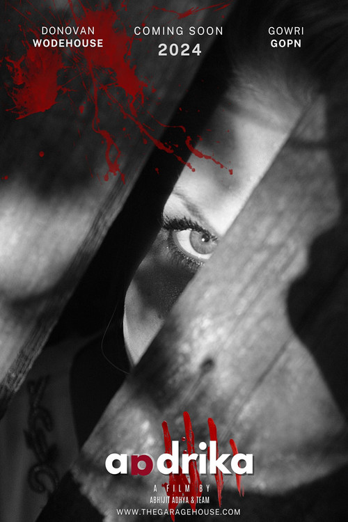 Aadrika (2024) poster