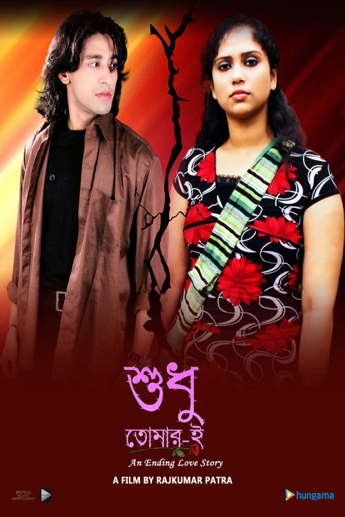 Sudhu Tomari (2013) poster