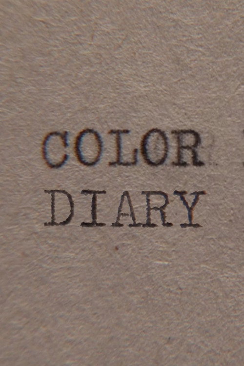 Color Diary (2013) poster