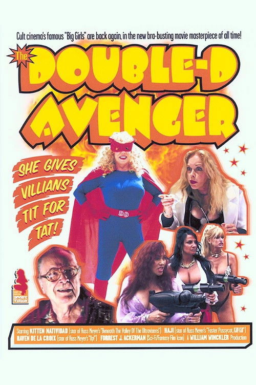 The Double-D Avenger (2001) poster