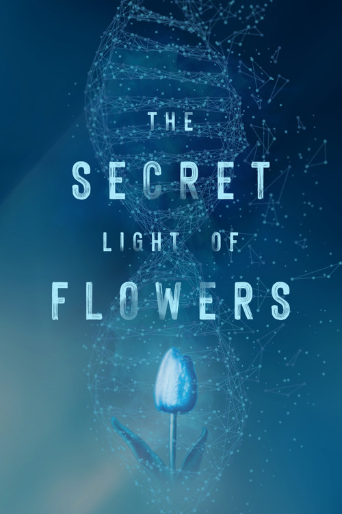 The Secret Light of Flowers (2023) poster