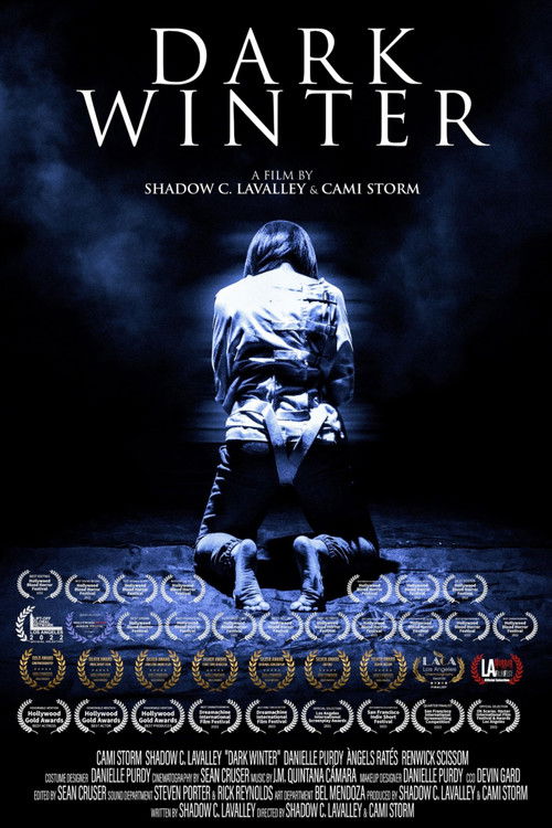 Dark Winter (2022) poster