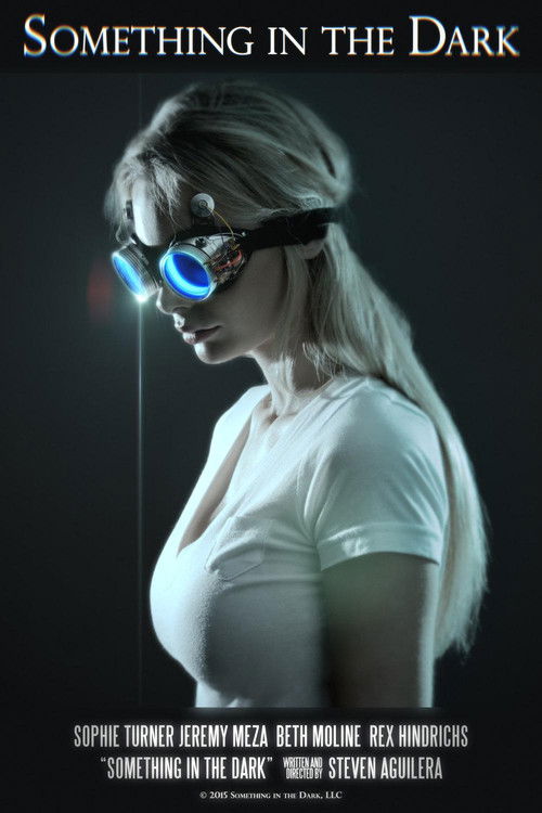 Something in the Dark (2024) poster