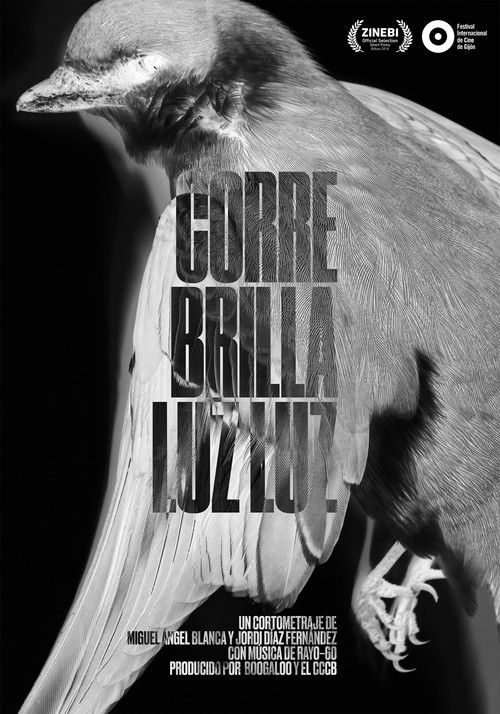 Run Glow Light Light poster