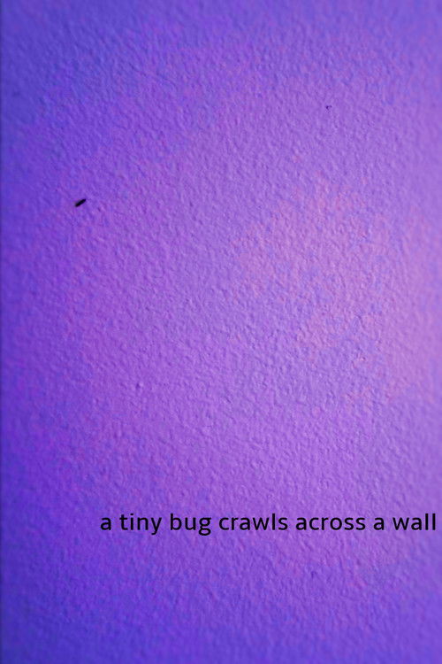 a tiny bug crawls across a wall (2024) poster