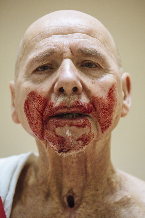 Julius Caesar. Spared Parts. (2016) poster