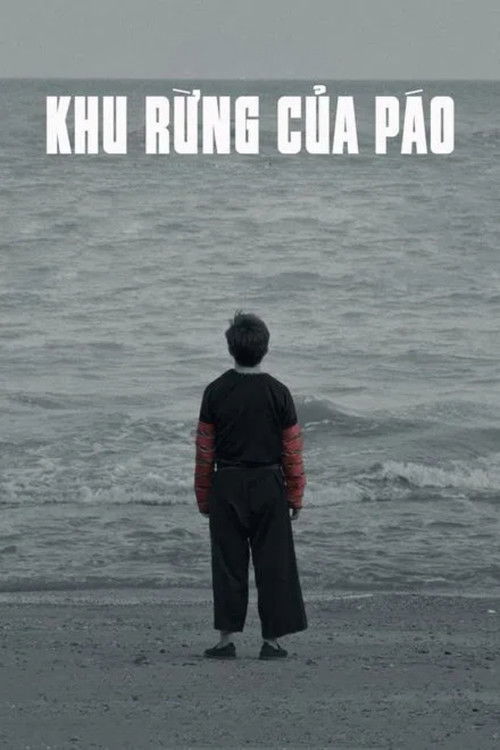 Khu rừng của Páo (2022) poster