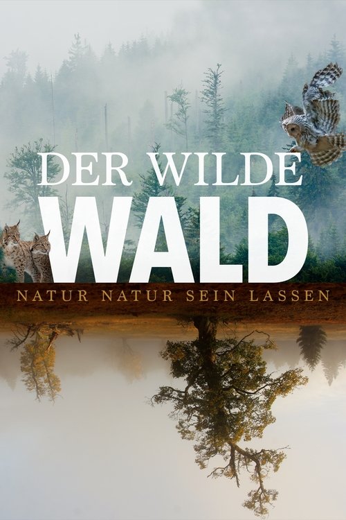 Der wilde Wald (2021) poster