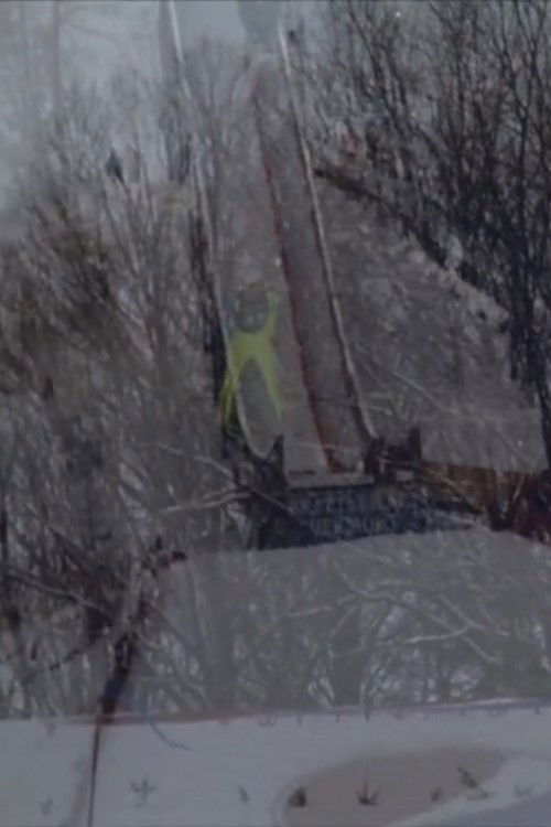 A Kind Of Quiet (2014) poster