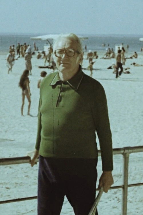 Aedniku suvi (1980) poster