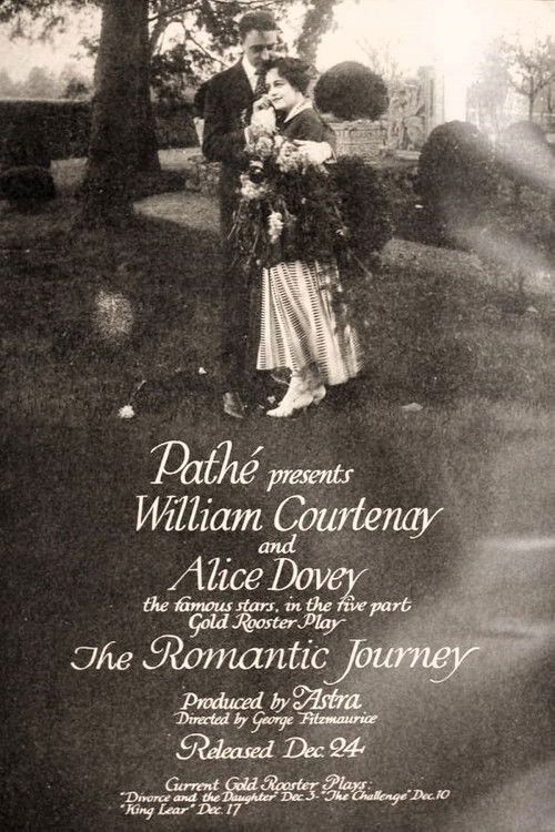 The Romantic Journey (1916) poster