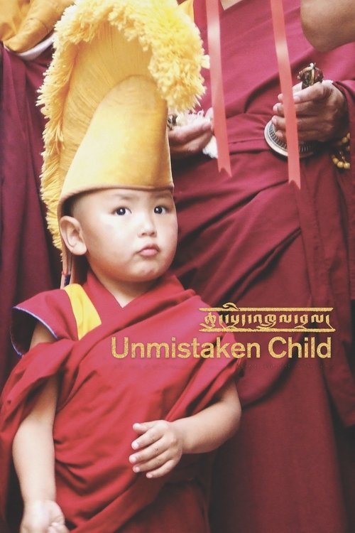 Unmistaken Child (2009) poster