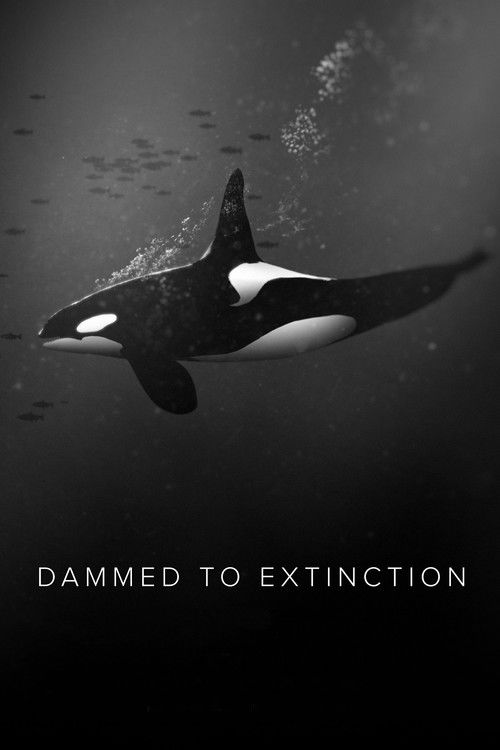 Dammed to Extinction (2019) poster